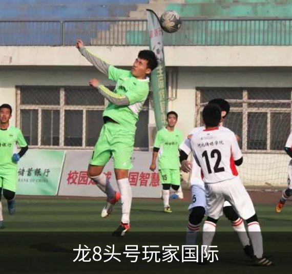 龙8头号玩家国际介绍